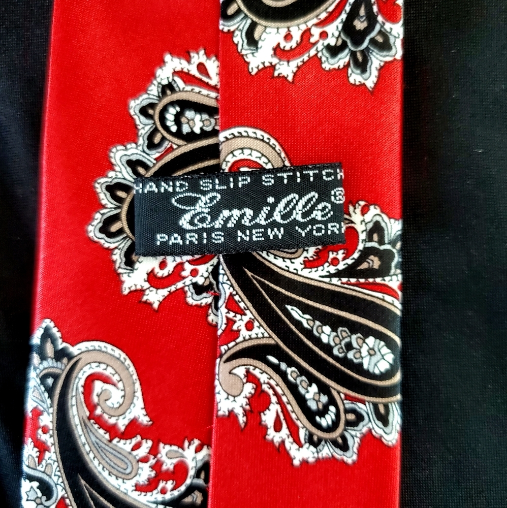 Men's Emille Paris New York Water Silk Paisley Tie - Picture 2 of 3